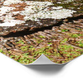 Palmen entlang des Hideaways Beach Poster (Ecke)