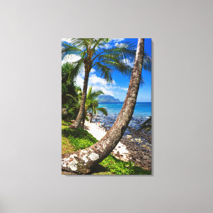 Palmen entlang Hideaways Beach Leinwanddruck