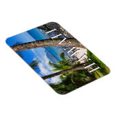 Palmen entlang Hideaways Beach Magnet (Rechte Seite)