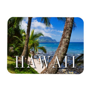 Palmen entlang Hideaways Beach Magnet