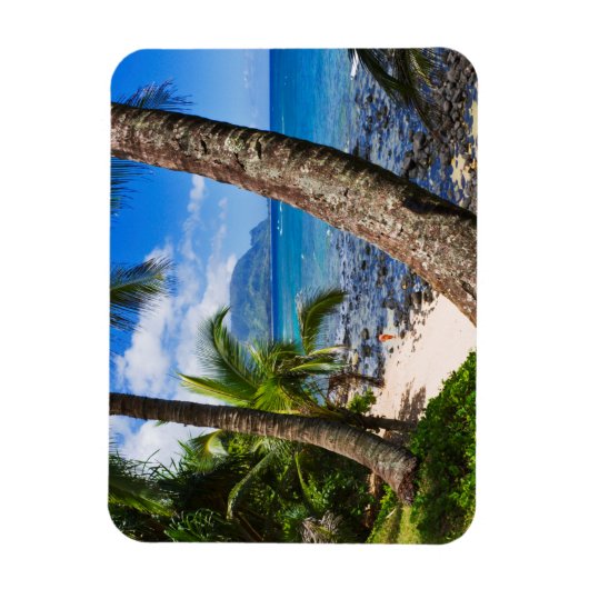 Palmen entlang Hideaways Beach Magnet (Vertikal)