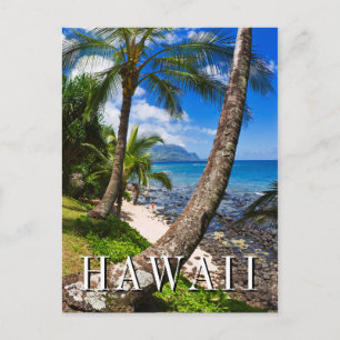 Palmen entlang Hideaways Beach Postkarte