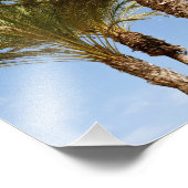 Palmen Fotodruck (Ecke)