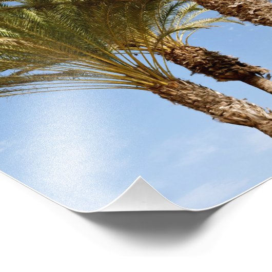 Palmen Fotodruck (Ecke)