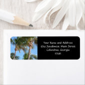 Palmen gegen den blauen Himmel (Insitu)