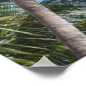 Palmen gegen den blauen Himmel Poster (Ecke)