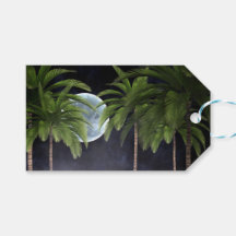 Palmen gegen den Mond