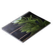 Palmen gegen den Mond Notizblock (Linke Seite)