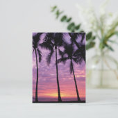 Palmen gegen Himmel Postkarte (Stehend Vorderseite)