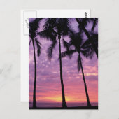 Palmen gegen Himmel Postkarte (Vorne/Hinten)