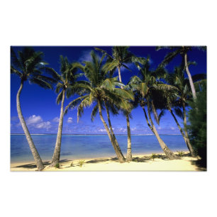 Palmen gesäumter Strand Cook Islands 6 Fotodruck