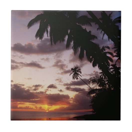 Palmen im Meer Fliese (Vorderseite)