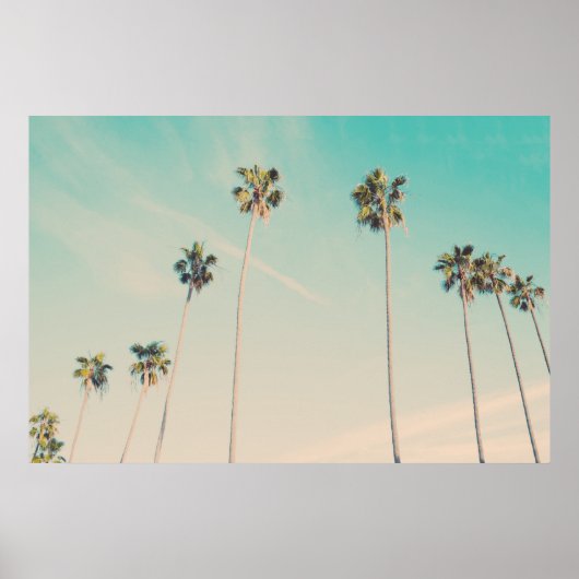 Palmen im Wind-Foto Poster (Vorne)