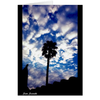 Palmen in den Wolken