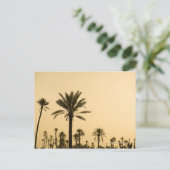 Palmen in der Abenddämmerung, Marokko Postkarte (Stehend Vorderseite)