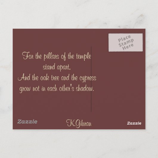 Palmen in Doha Postkarte (Rückseite)