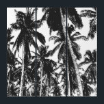 Palmen in einem posterisierten Design Triptychon<br><div class="desc">Machen Sie eine kühne Aussage in Ihrer Zuhause oder Ihrem Büro. Dramatische Wandkunst. Palmen im Pop-Art-Stil in einem silhouetted posterisierten Stil. Schwarz und Weiß.</div>