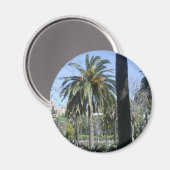 Palmen in Malaga Magnet (Vorderseite/Rückseite)