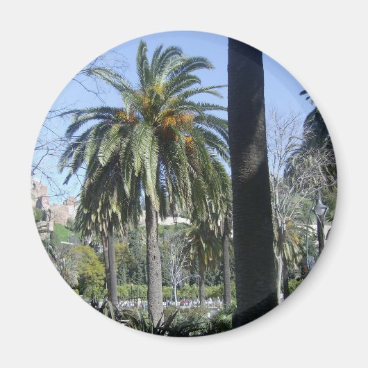 Palmen in Malaga Magnet (Vorne)