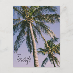 Palmen in Teneriffa Postkarte