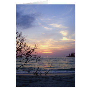 Palmen-Insel-Sonnenuntergang 1