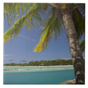 Palmen & Lagune, Musket Cove Island Resort Fliese