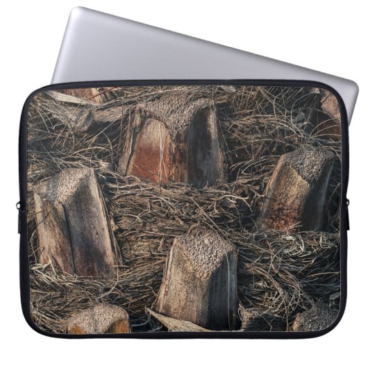 Palmen Laptopschutzhülle (Vorderseite)