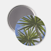 Palmen Magnet (Vorderseite/Rückseite)