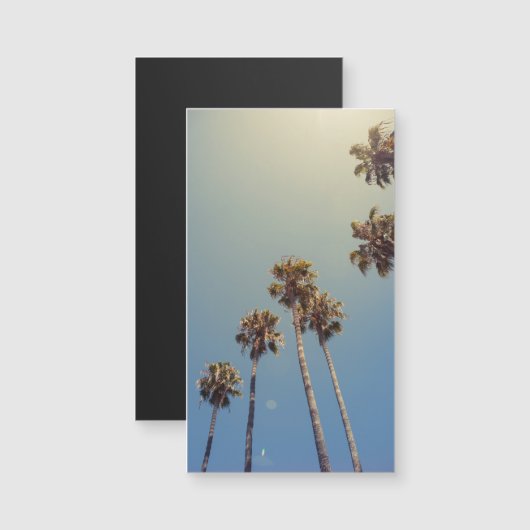 Palmen Magnetkarte (Vorne/Hinten)