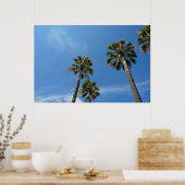 Palmen mit blauem Himmel Poster (Küche)
