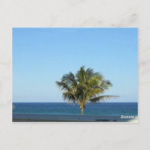 Palmen mit Blick auf den Ozean Postkarte