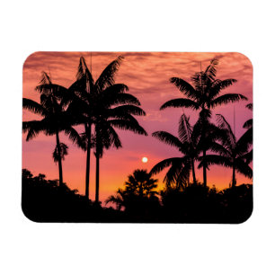 Palmen mit Silhouette, Hawaii Magnet