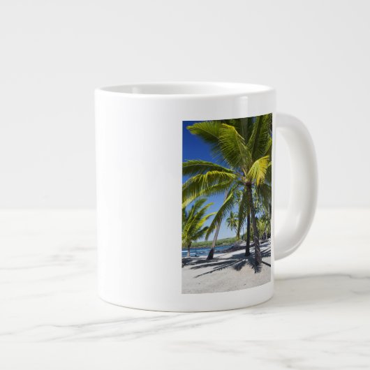 Palmen, National Historic Park Pu'uhonua o Jumbo-Tasse (Vorderseite Rechts)