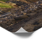 Palmen, National Historic Park Pu'uhonua o Poster (Ecke)