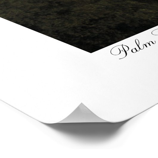 Palmen Poster (Ecke)