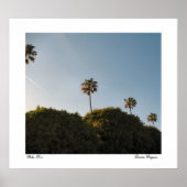 Palmen Poster (Vorne)