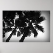 Palmen Poster (Vorne)
