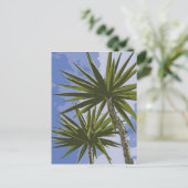 Palmen Postkarte (Stehend Vorderseite)