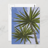 Palmen Postkarte (Vorne/Hinten)