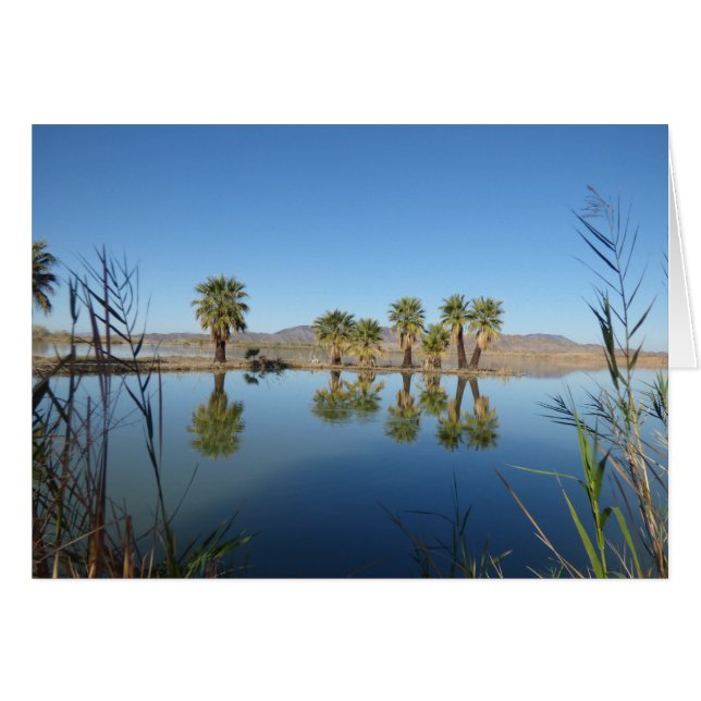 Palmen reflektiert (Vorderseite (Horizontal))