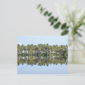 Palmen reflektiert postkarte (Stehend Vorderseite)