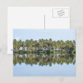 Palmen reflektiert postkarte (Vorne/Hinten)