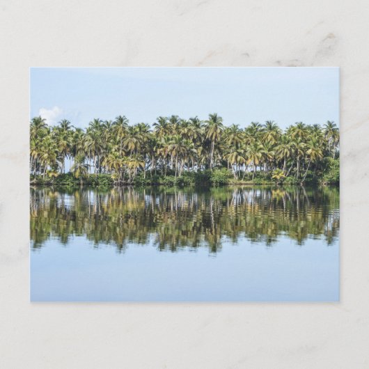 Palmen reflektiert postkarte (Vorderseite)