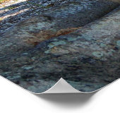 Palmen Roots Park bench Poster (Ecke)