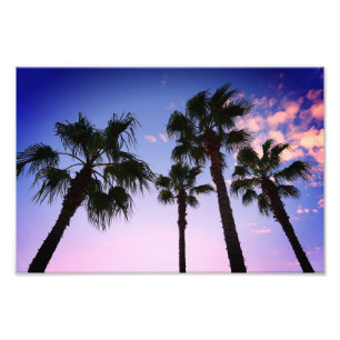 Palmen schweben zu Weihnachten in Destin Florida Fotodruck