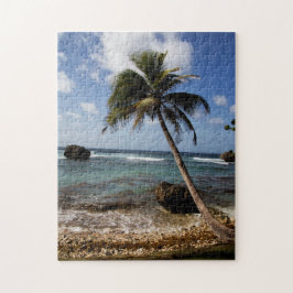 Palmen, Soup Bowl, Bathsheba, Barbados Puzzle