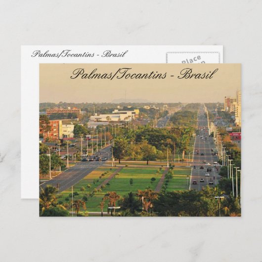 Palmen/Tocantine Postkarte (Vorne/Hinten)