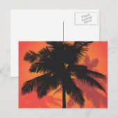Palmen Trees Sunset Silhouetten Postkarte (Vorne/Hinten)