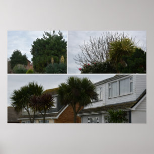 Palmen und exotische Pflanzen in Selsey. Poster