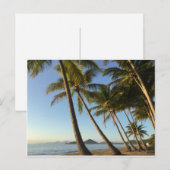Palmen und Meer Postkarte (Vorne/Hinten)